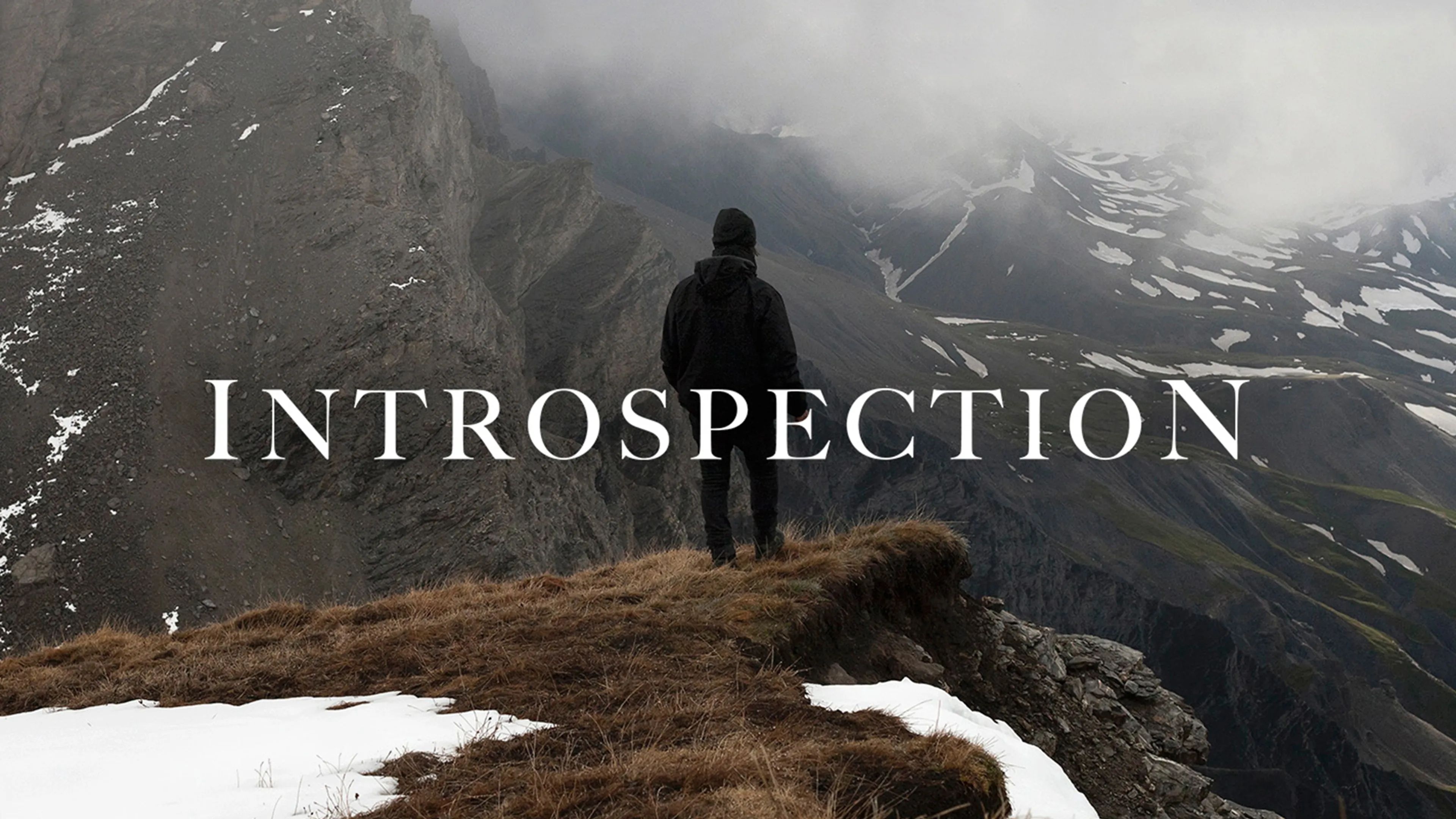 Introspection poster